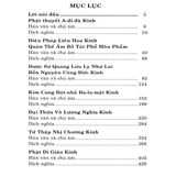  Sách - Chư Kinh Tập Yếu 
