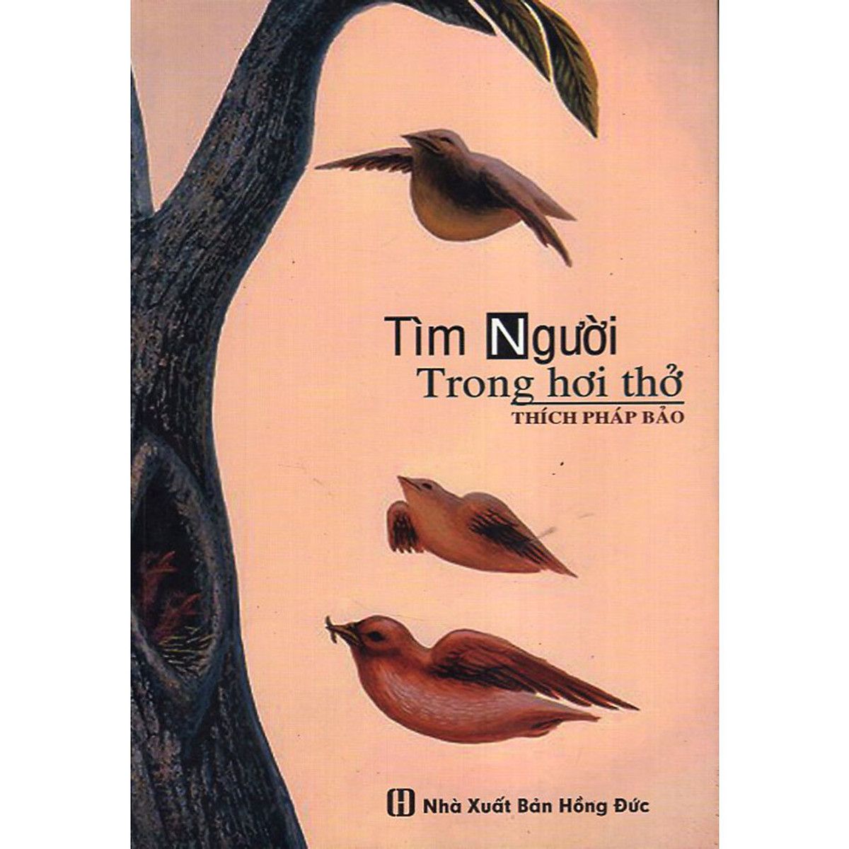  Tìm Người Trong Hơi Thở 
