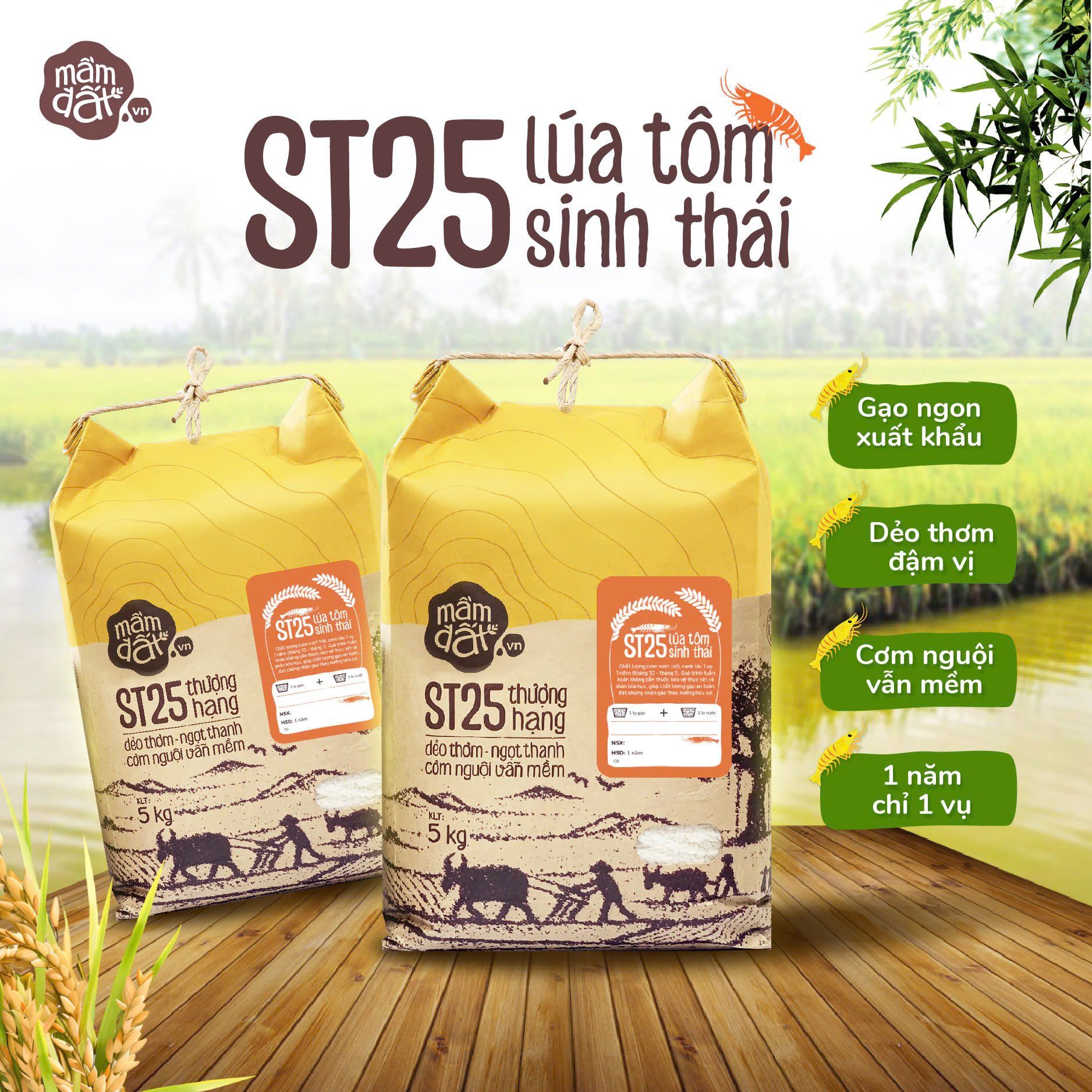  Gạo ST25 Lúa Tôm Sinh Thái 