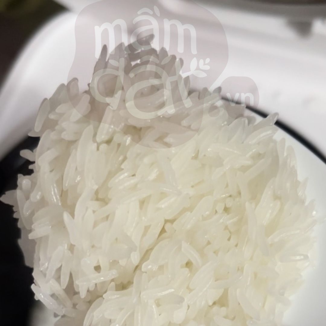  Gạo ST25 Lúa Tôm Sinh Thái 