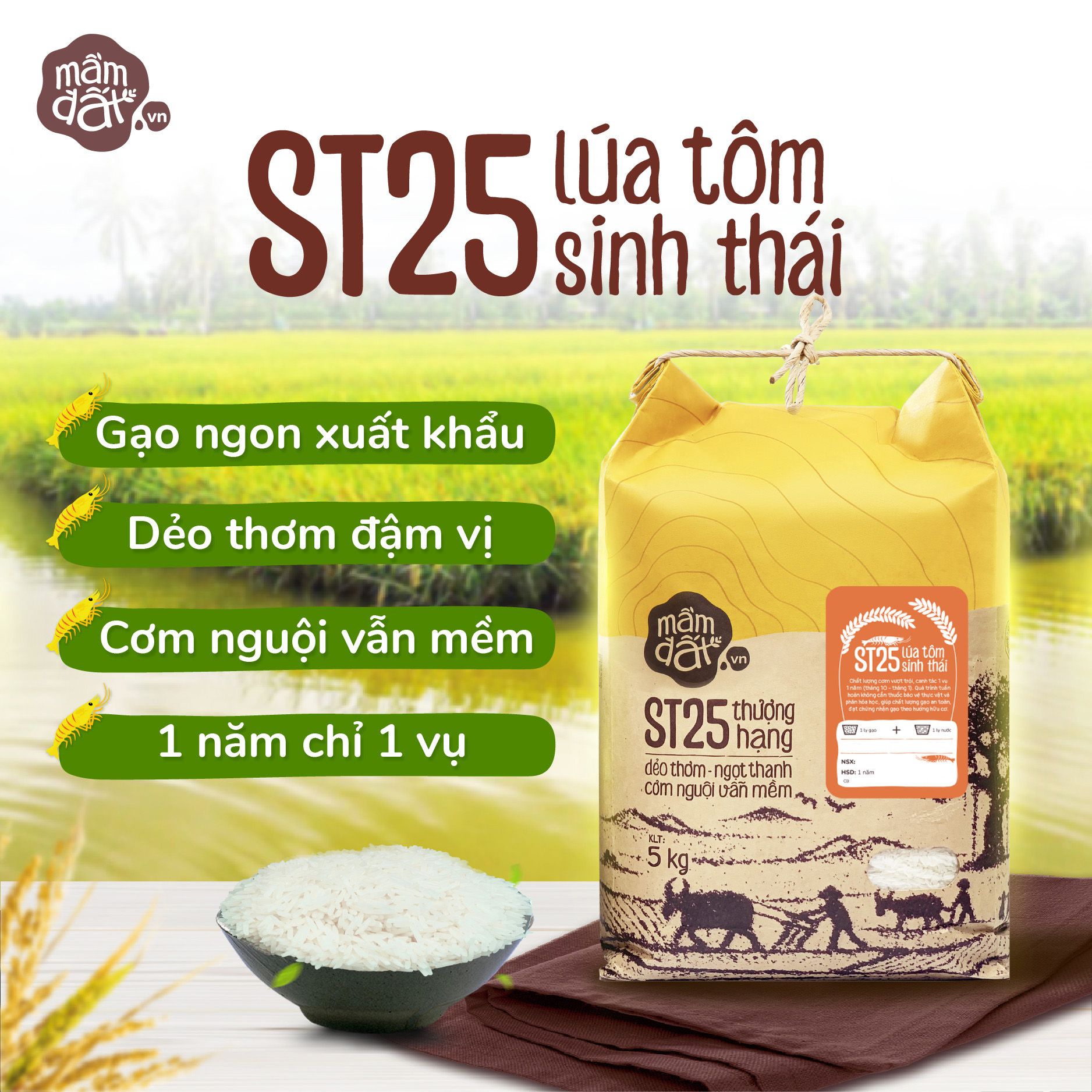  Gạo ST25 Lúa Tôm Sinh Thái 