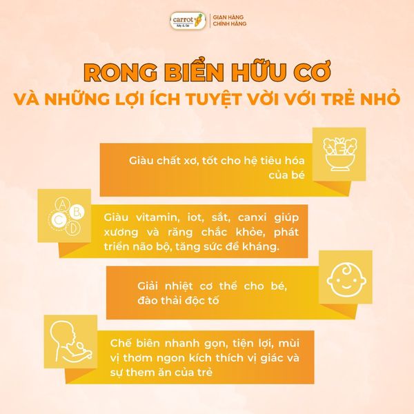 Rong Biển Tách Muối Hữu Cơ ALVINS Hàn Quốc Cho Bé Ăn Dặm