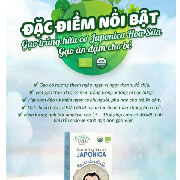 Gạo Trắng Hữu Cơ Japonica Hoa Sữa 1KG, Gạo Trắng Ăn Dặm Cho Bé Japonica