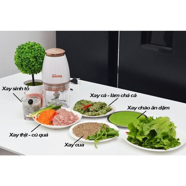 Máy Xay Osaka Japan, Máy Xay Đa Năng, Máy Xay Sinh Tố