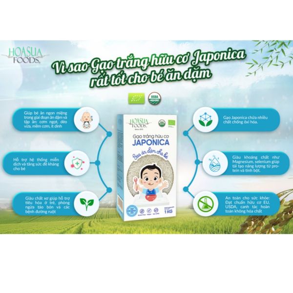 Gạo Trắng Hữu Cơ Japonica Hoa Sữa 1KG, Gạo Trắng Ăn Dặm Cho Bé Japonica