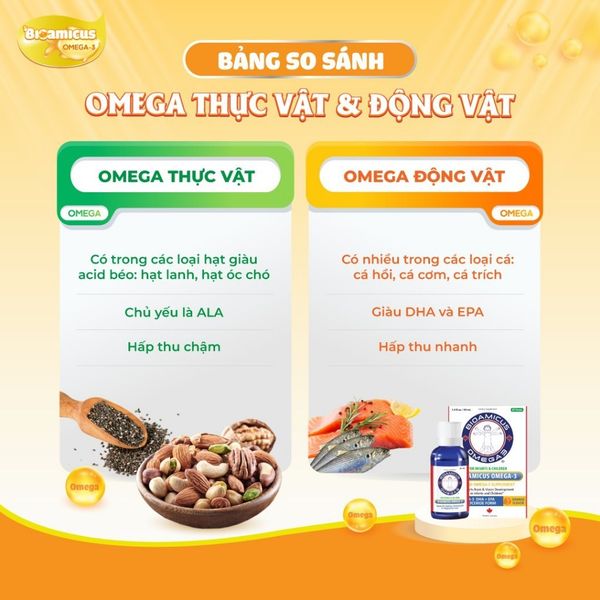 DHA Omega-3 BioAmicus Lọ 30mL Dạng Giọt