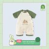 Bộ Body Cài Lệch Cộc Tay UALA ROGO UR2151, Body Đùi Vải Sợi Tre Bamboo Mát