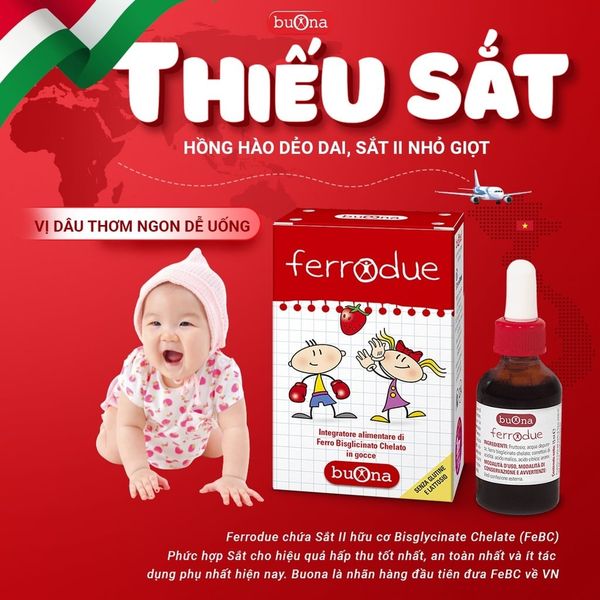 Sắt Hữu Cơ Dạng Nhỏ Giọt Buona Ferrodue Lọ 15ml, Bổ Sung Sắt Cho Trẻ