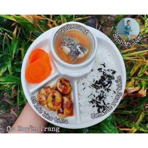 Rong Biển Tách Muối Hữu Cơ ALVINS Hàn Quốc Cho Bé Ăn Dặm