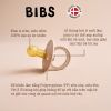 Ti Ngậm Bibs Silicon Colour Ban Đêm, Ti Ngậm Bibs Silicon Ban Ngày Delux 0 - 36M Đan Mạch Chính Hãng