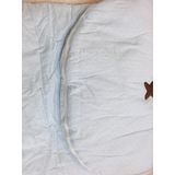 Túi Ngủ Bông YOYO BEAR Cho Bé - Mềm Mịn, Không Chì, Khóa Kéo 2 Đầu