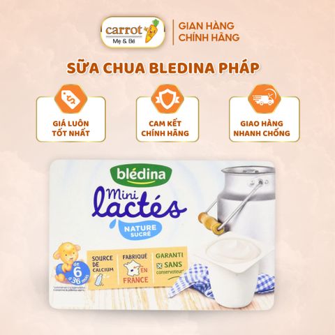 Sữa Chua BLEDINA Pháp - Mẫu Mới, Dành Cho Bé Tập Ăn, Dễ Dàng Mang Đi, Nhiều Canxi - 55g