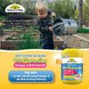 Kẹo Dẻo  Omega-3 DHA Fish Oil Nature's Way Kids Smart Vita Gummies Hộp 60 Viên Giúp Tăng Cường Trí Thông Minh Cho Bé