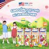 Sữa Trái Cây Dinh Dưỡng SMARTA GROW Lốc 4 Hộp 110mL Vị Nho, Sữa Nước Hỗ Trợ Tăng Chiều Cao Cho Bé