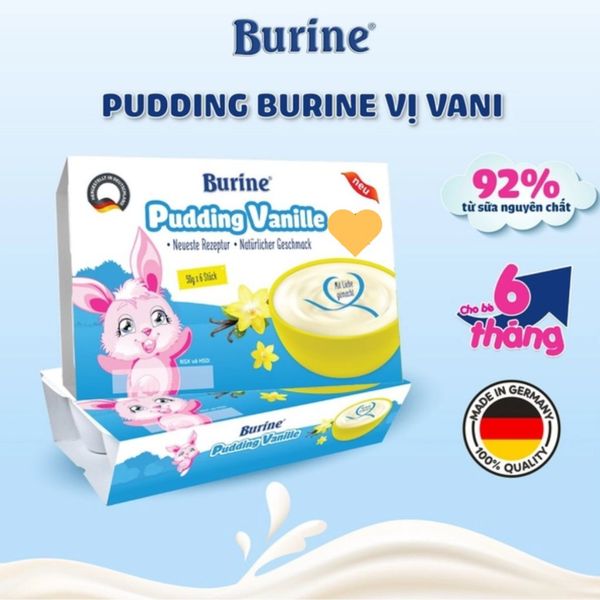 Váng Sữa Pudding Burine Đức Cho Bé Từ 6 Tháng Vị Vani, Vị Dâu 6 Hộp 50G