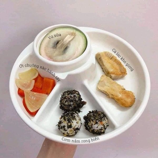 Rong Biển Tách Muối Hữu Cơ ALVINS Hàn Quốc Cho Bé Ăn Dặm