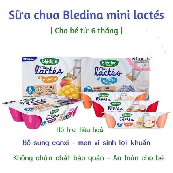 Sữa Chua BLEDINA Pháp - Mẫu Mới, Dành Cho Bé Tập Ăn, Dễ Dàng Mang Đi, Nhiều Canxi - 55g