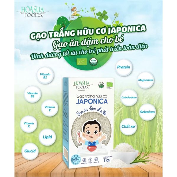 Gạo Trắng Hữu Cơ Japonica Hoa Sữa 1KG, Gạo Trắng Ăn Dặm Cho Bé Japonica