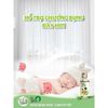 Tinh Dầu Tràm Nguyên Chất MỆ ĐOAN Nguyên Chất Giữ Ấm, Phòng Cảm Lạnh, Xua Đuổi Côn Trùng