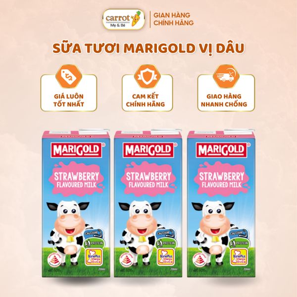 Sữa Tươi MariGold Hương Dâu 200ml – Lốc 3 Hộp