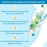 Bình Sữa Dr.Brown's Thủy Tinh Cổ Hẹp 120ML, 250ML Option