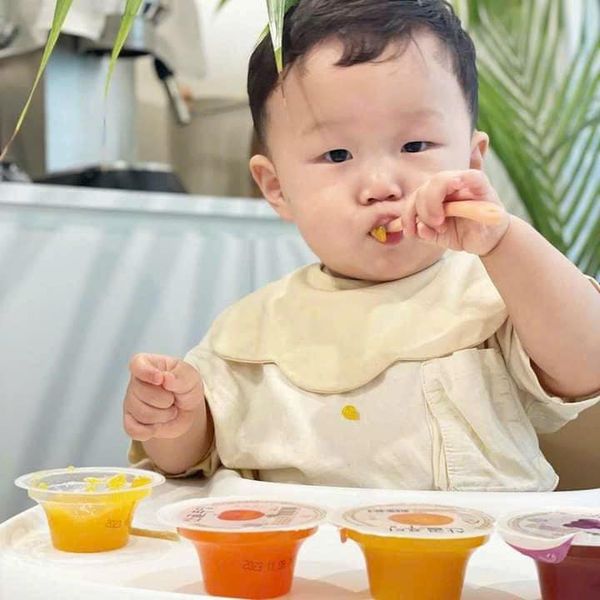 Pudding Trái Cây Ecomommeal Vị Quýt, Nho, Táo Cà Rốt Cho Bé