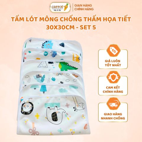 Tấm Lót Mông Chống Thấm Họa Tiết Cho Bé 30x30Cm, Set 5 Miếng Lót Hoạ Tiết Ngẫu Nhiên