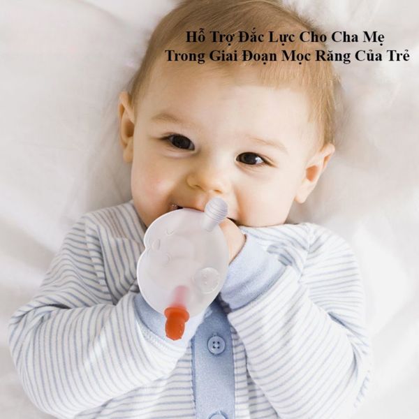 Gặm Nướu Silicon Gấu Kèm Hộp Cho Bé, Chất Liệu An Toàn