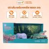 Cá Sấu Điều Khiển 18001-310, Đồ Chơi Điều Khiển Cho Bé