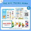 Thẻ Học Quốc Kì Các Nước Trên Thế Giới Gồm 180 Thẻ Flashcard Cờ Các Quốc Gia Kèm Hình Ảnh
