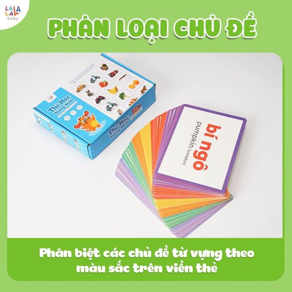 Thẻ Học Quốc Kì Các Nước Trên Thế Giới Gồm 180 Thẻ Flashcard Cờ Các Quốc Gia Kèm Hình Ảnh