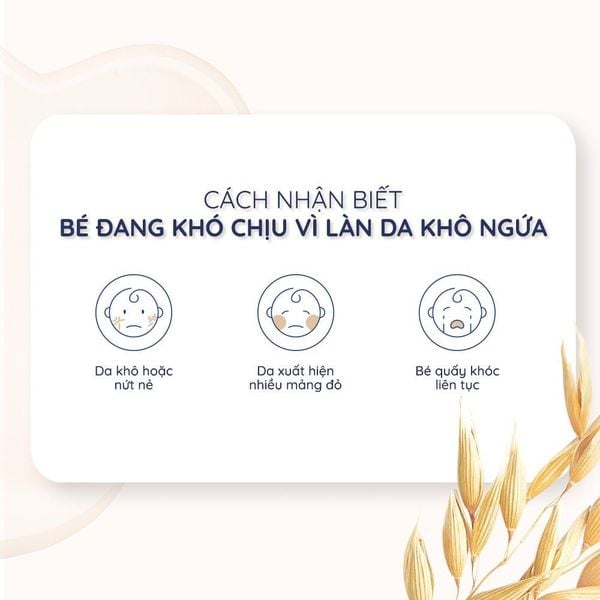 Sữa Tắm Gội Toàn Thân Aveeno Baby 236ML