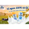 Sữa Tươi Nguyên Kem Devondale 200ML Lốc 6 Hộp, Sữa Tươi Triệt Trùng