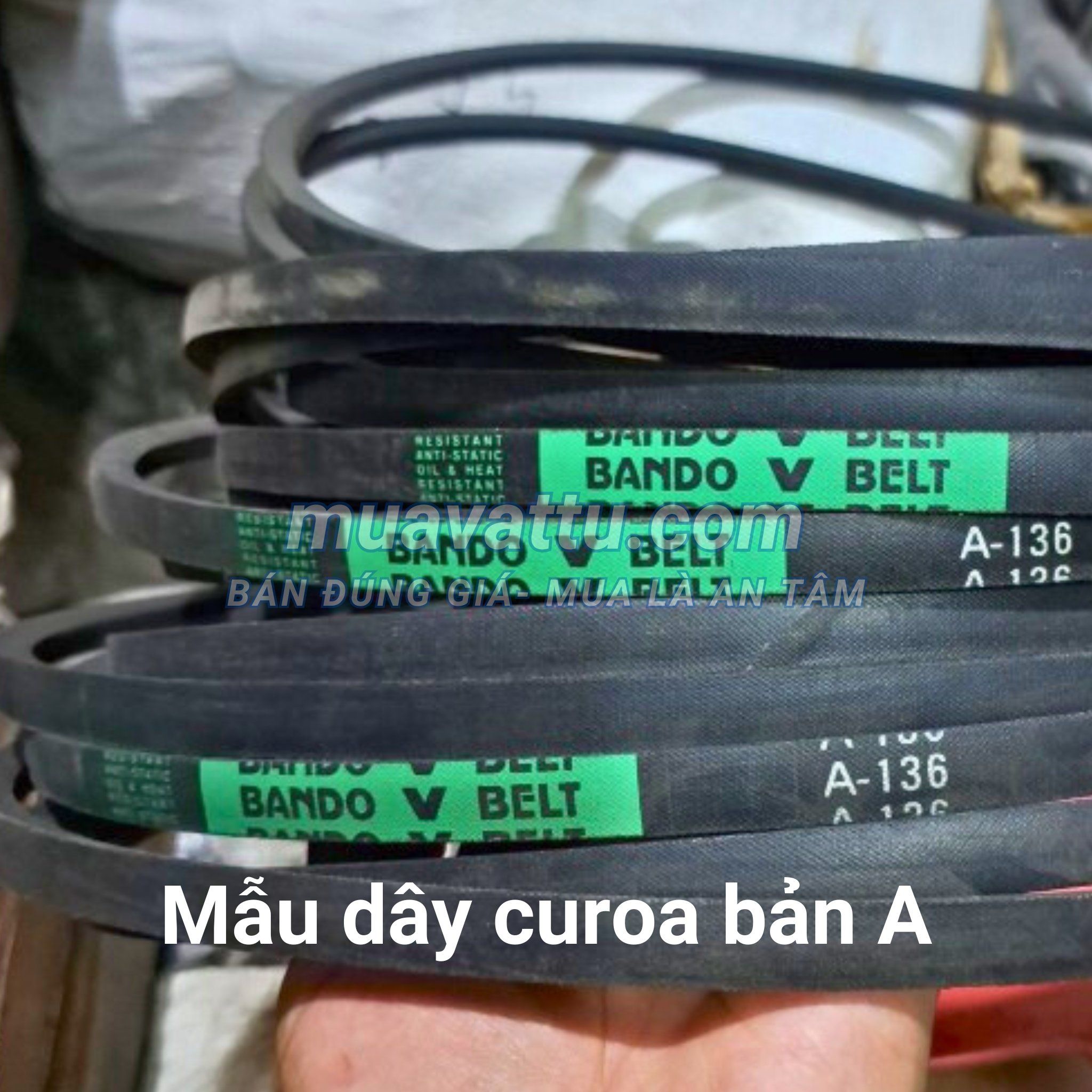  Dây curoa A158 