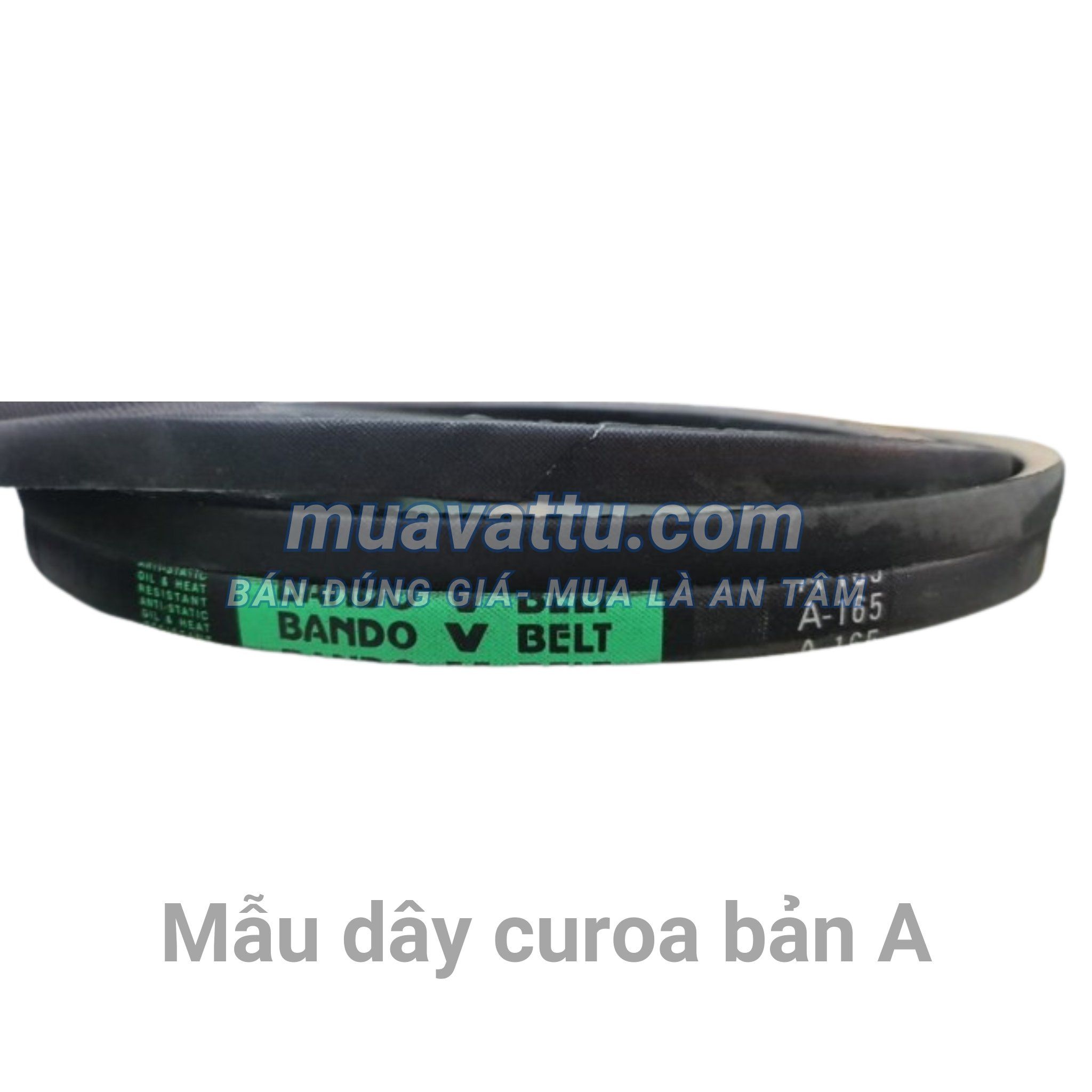  Dây curoa A170 