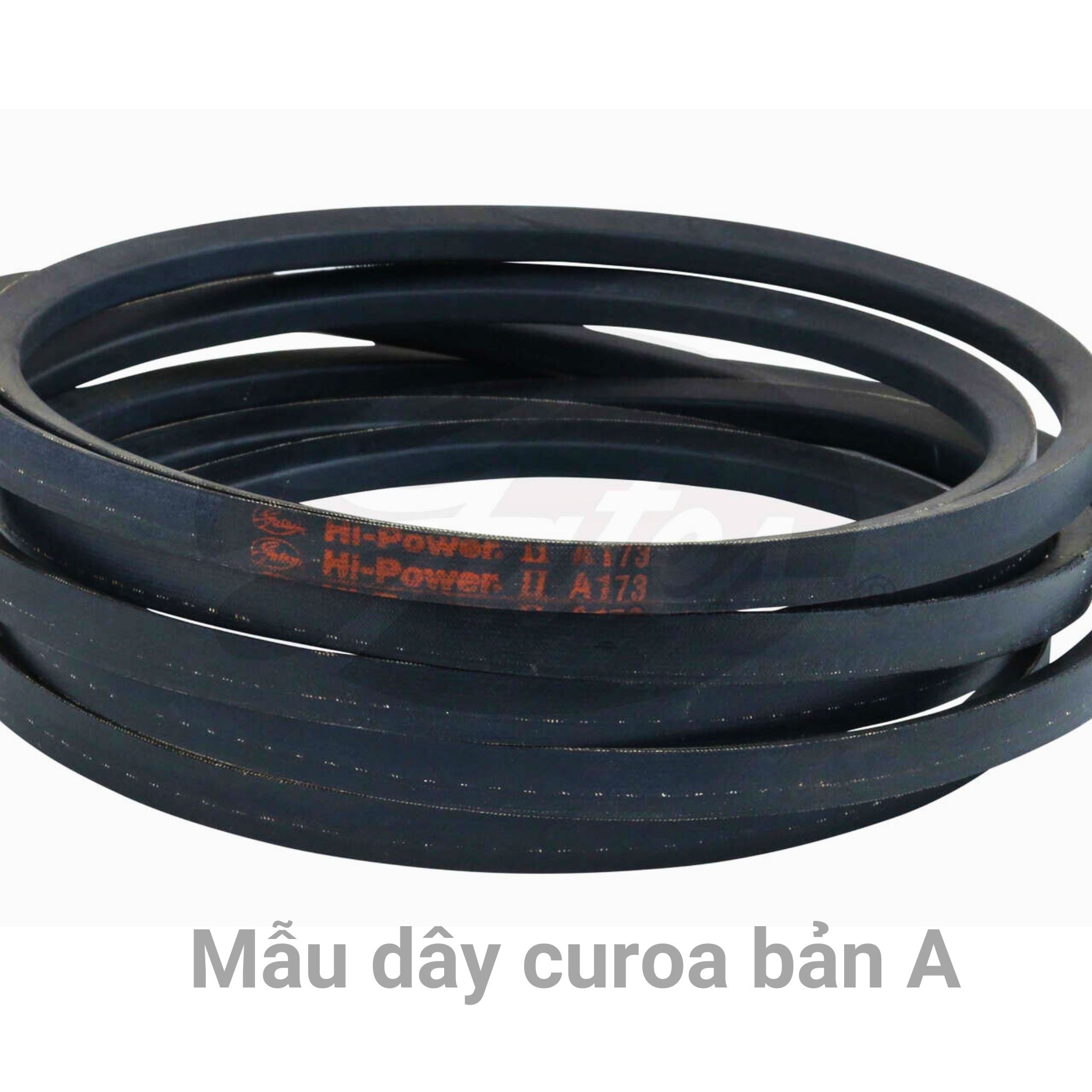  Dây curoa A174 