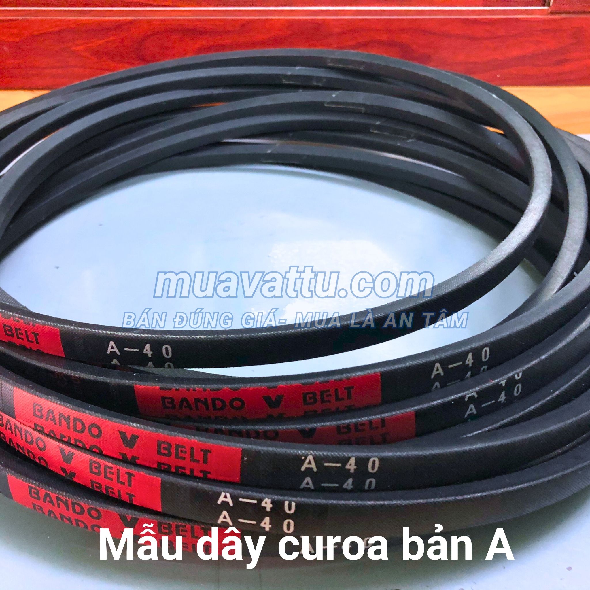  Dây curoa A42 