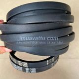  Dây curoa B113 
