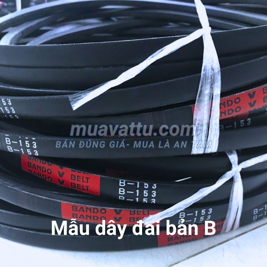 Dây curoa B155 