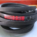 Dây curoa B74 
