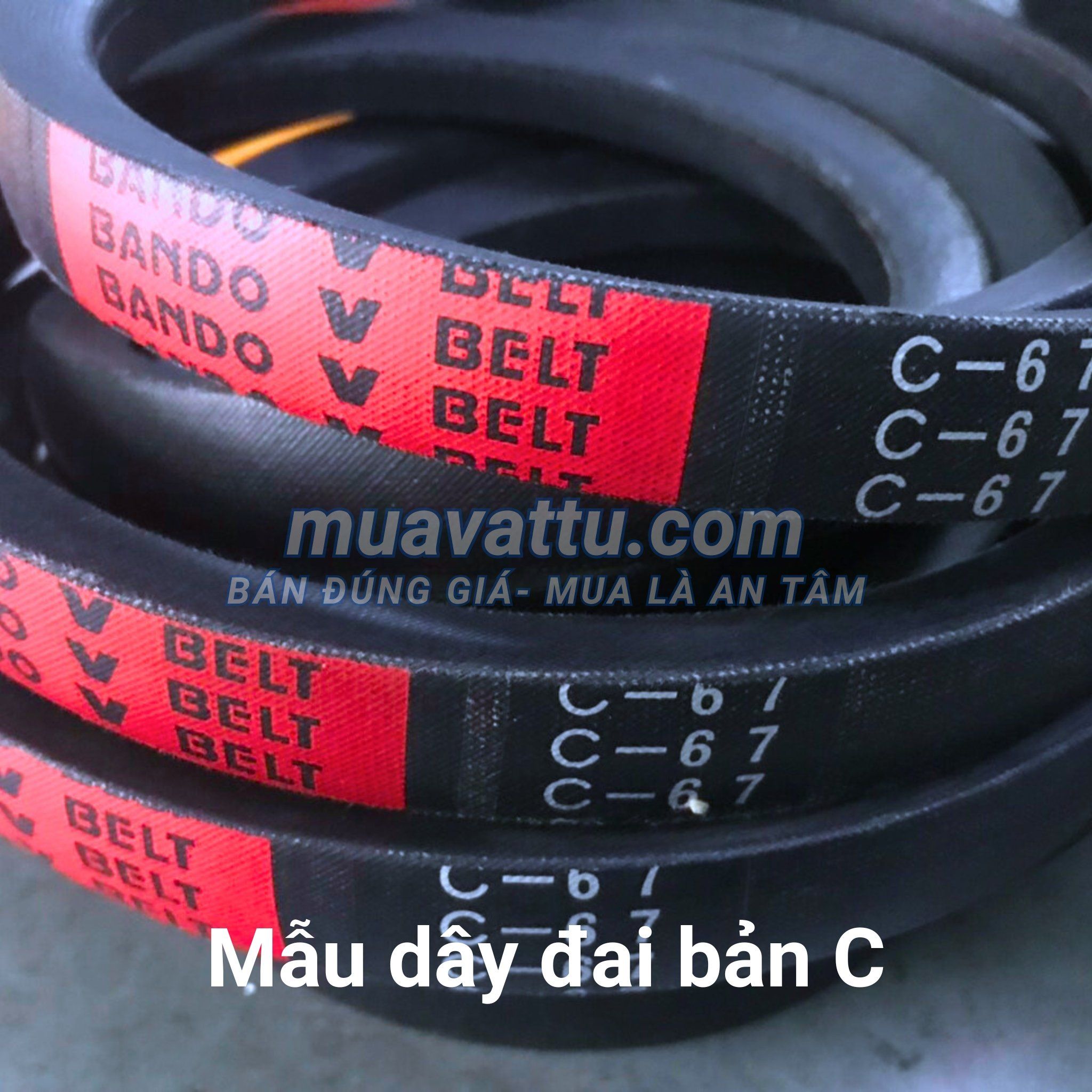  Dây curoa C65 
