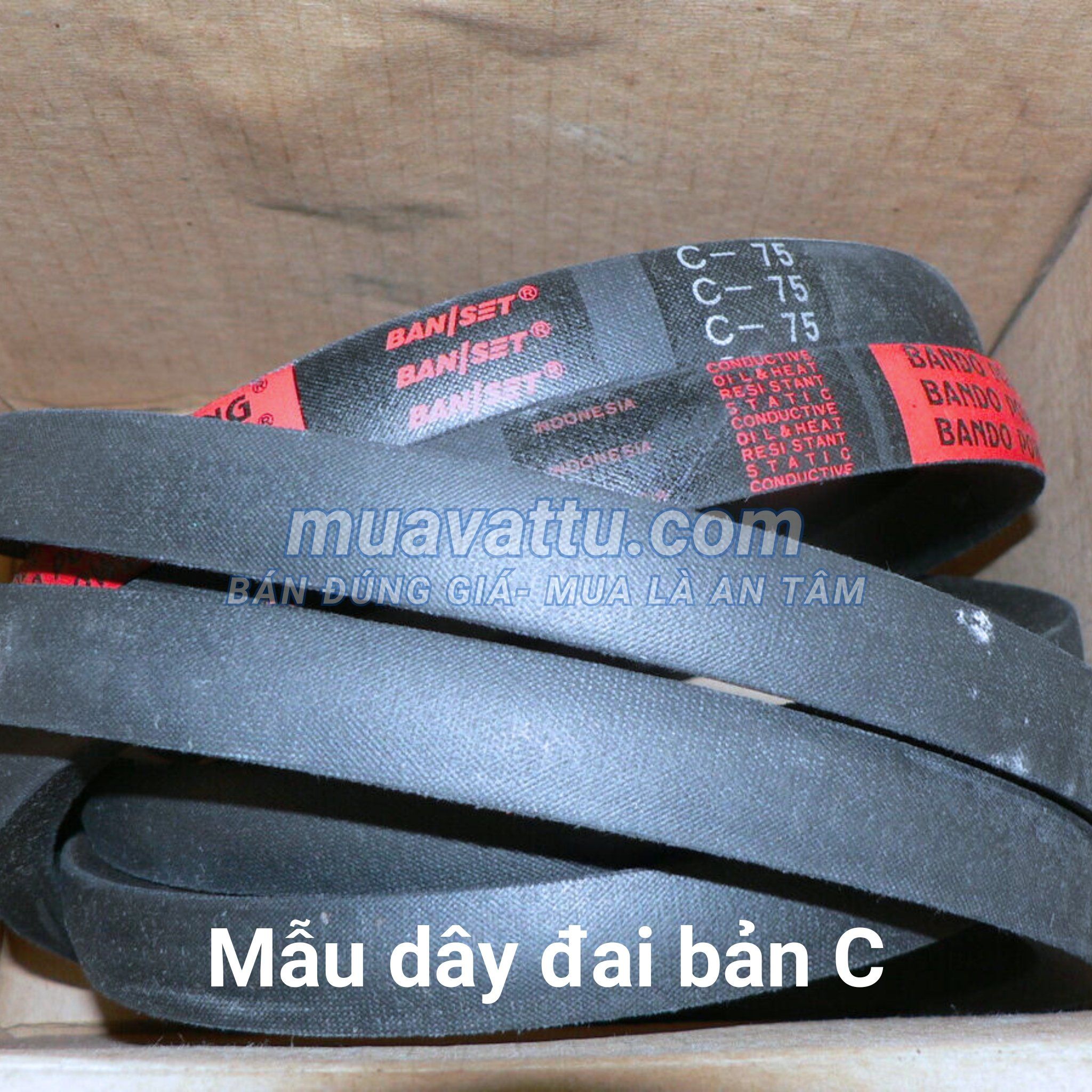  Dây curoa C73 