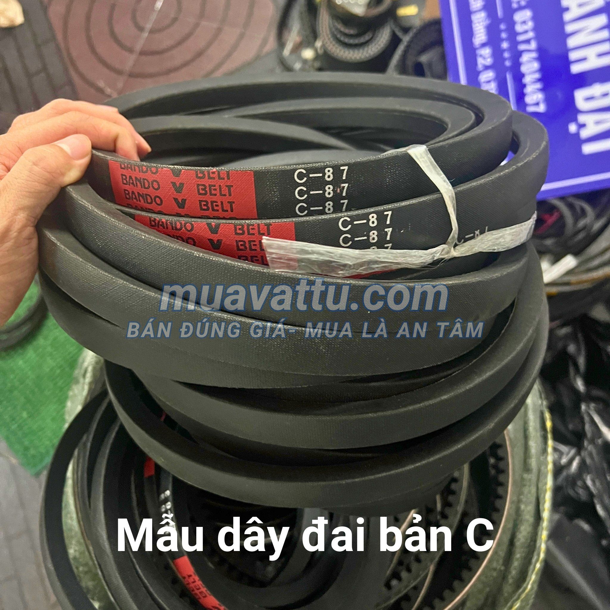  Dây curoa C85 