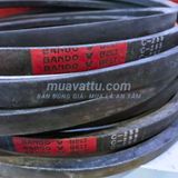  Dây curoa C255 
