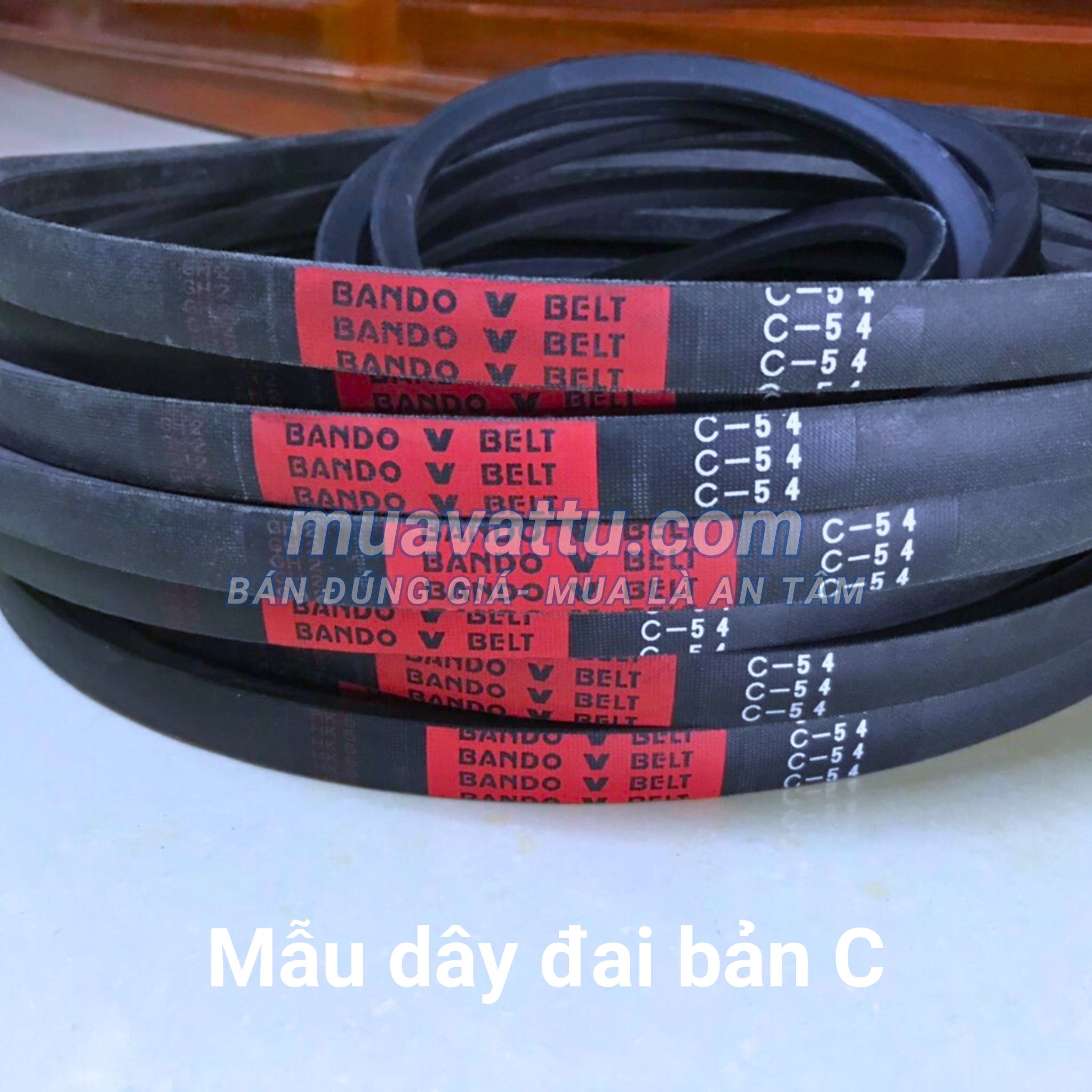  Dây curoa C53 