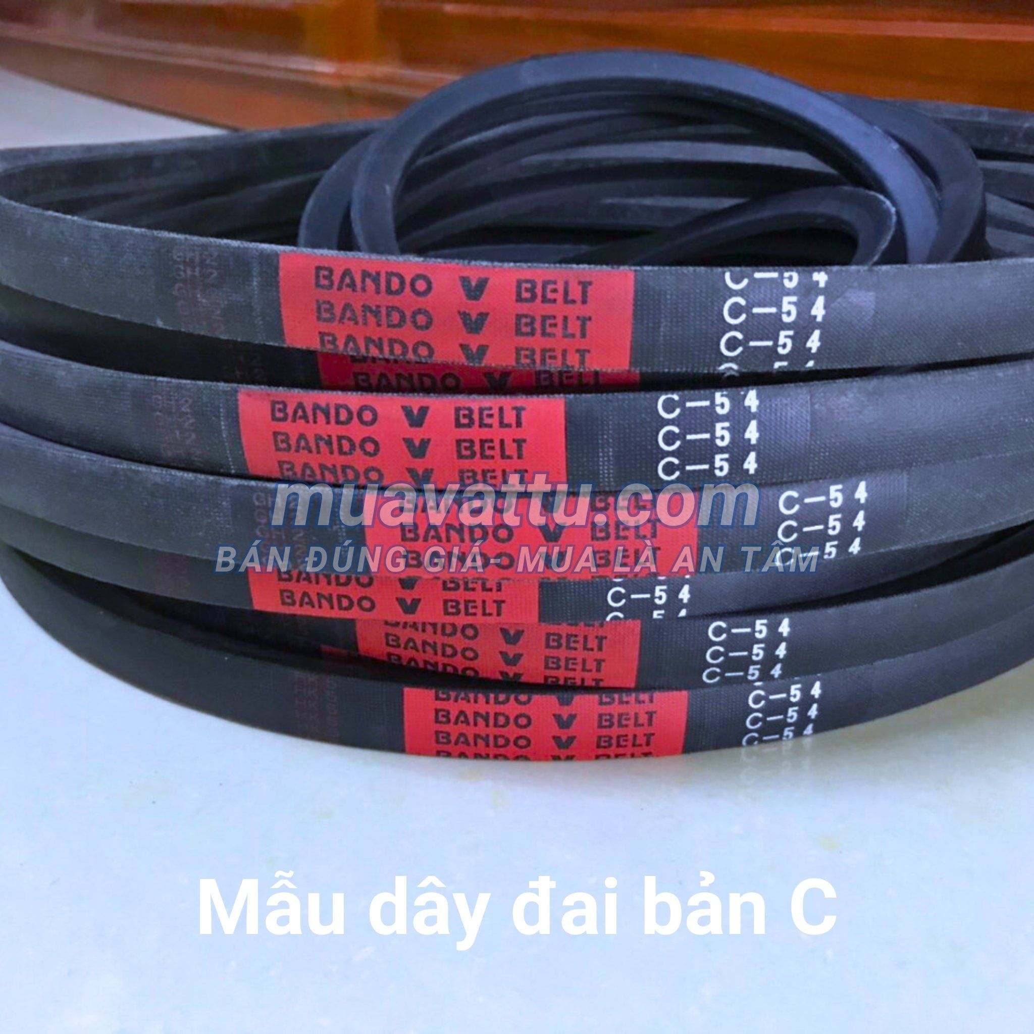  Dây curoa C50 