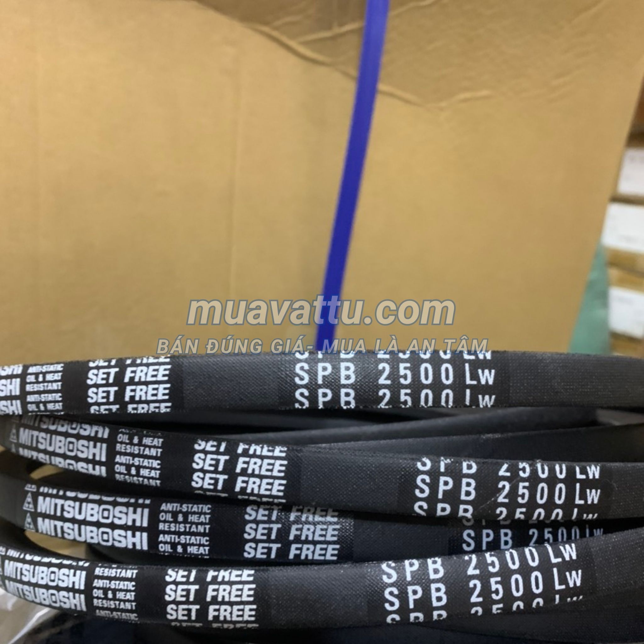  Dây curoa SPB 2500 