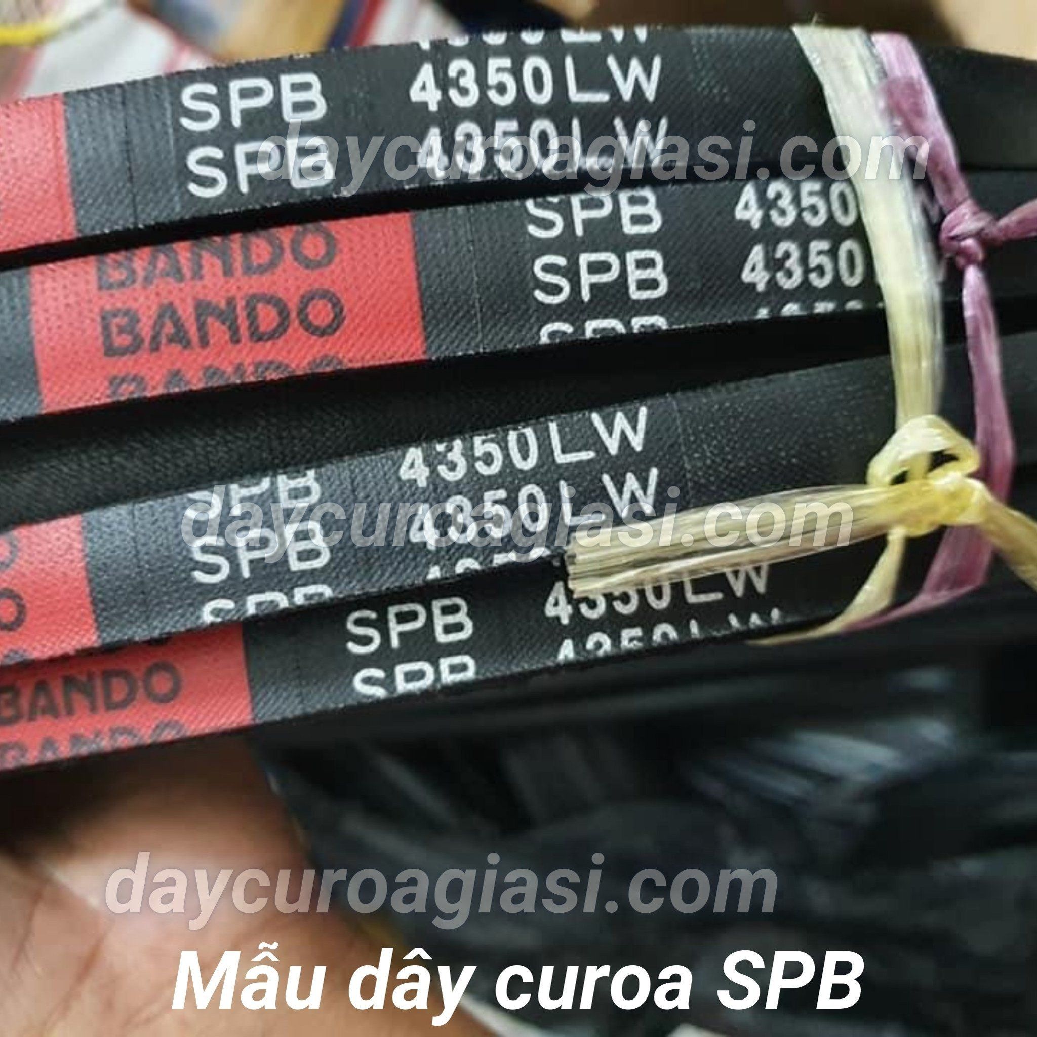  Dây curoa SPB 4100 