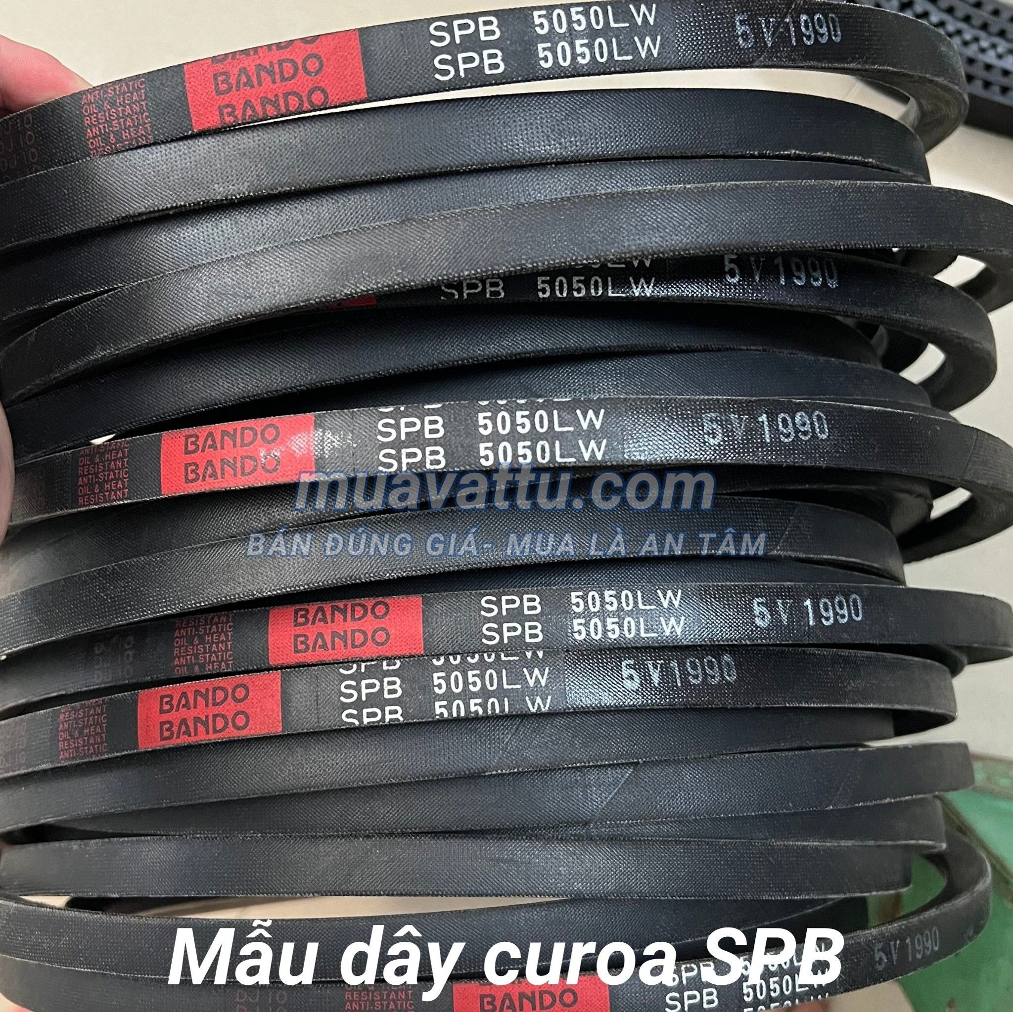  Dây curoa SPB 8500 