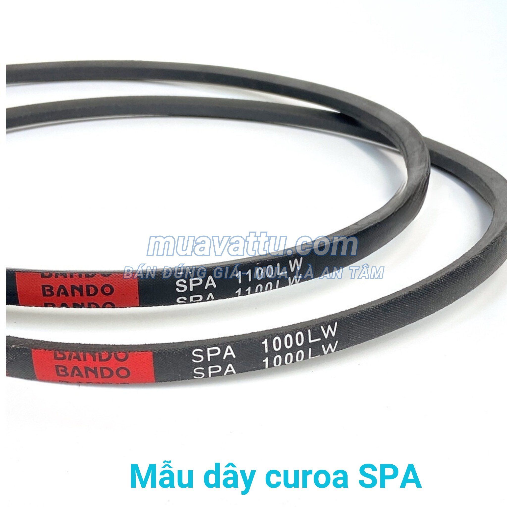  Dây curoa SPA 925 